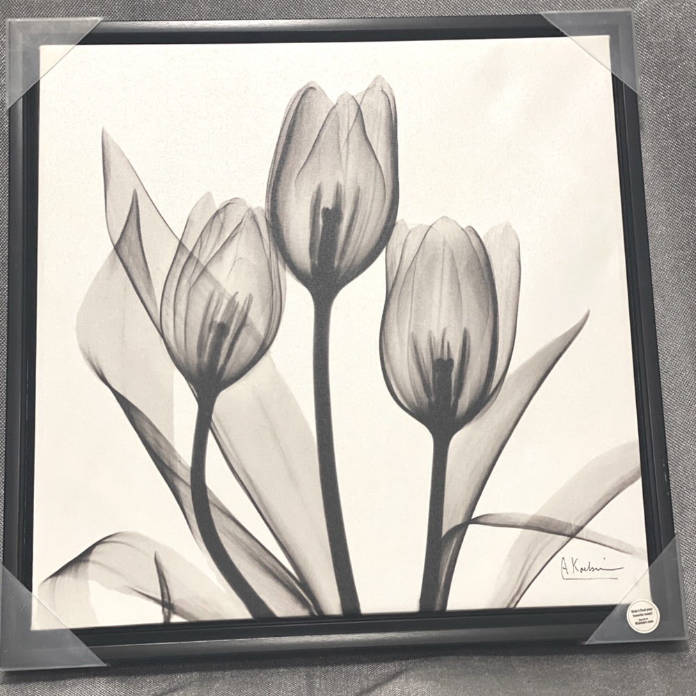 Black and White Tulip wall decor